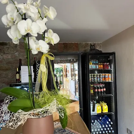 Casa Benamati By Kelly